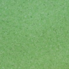 0202 Green Forest