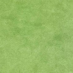 0802 Green Grass