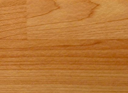 9901 Maple